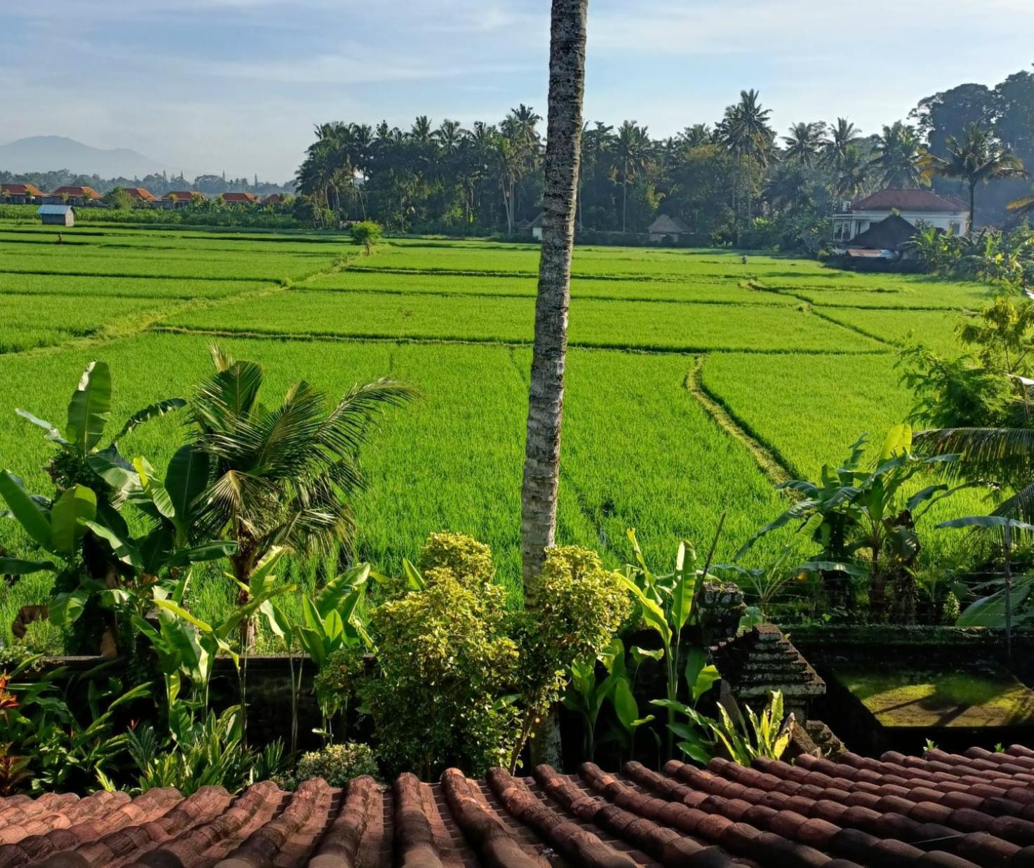 Runa House Of Design Ubud Exteriér fotografie